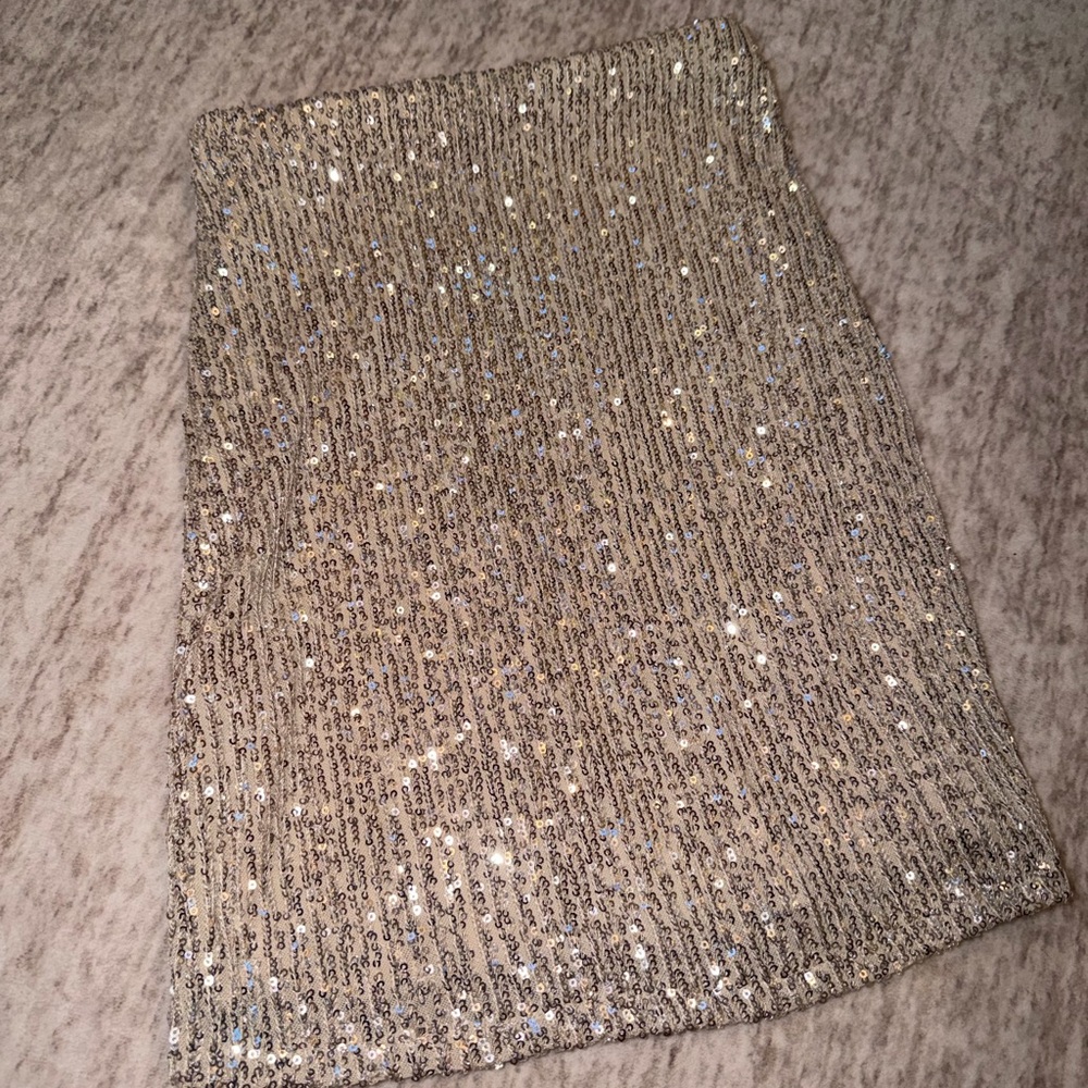 Elegant Silver Sequin Skirt